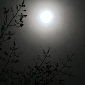 Meet your Posher, Joshua